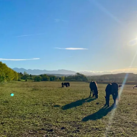 Confort 6 Pers - Terrasse - Api-1-52-1032