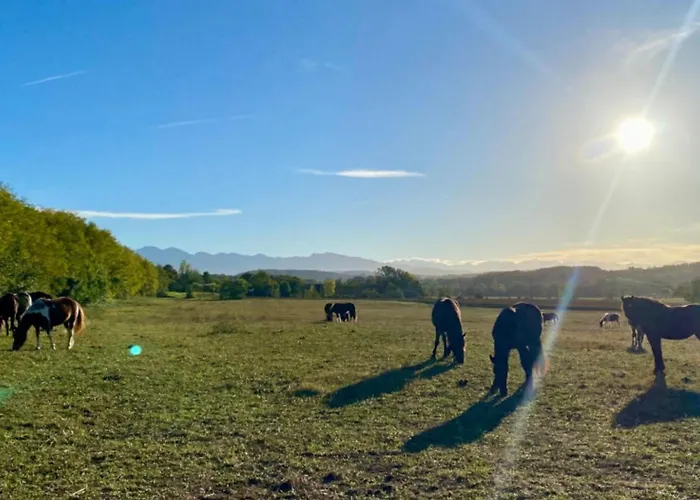 Confort 6 Pers - Terrasse - Api-1-52-1032