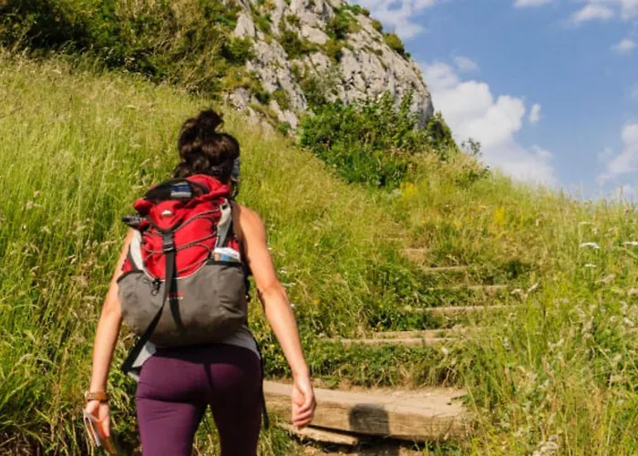 Confort 6 Pers - Terrasse - Api-1-52-1032